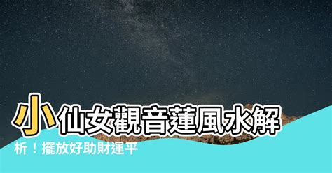 屬馬禁忌 小仙女觀音蓮風水